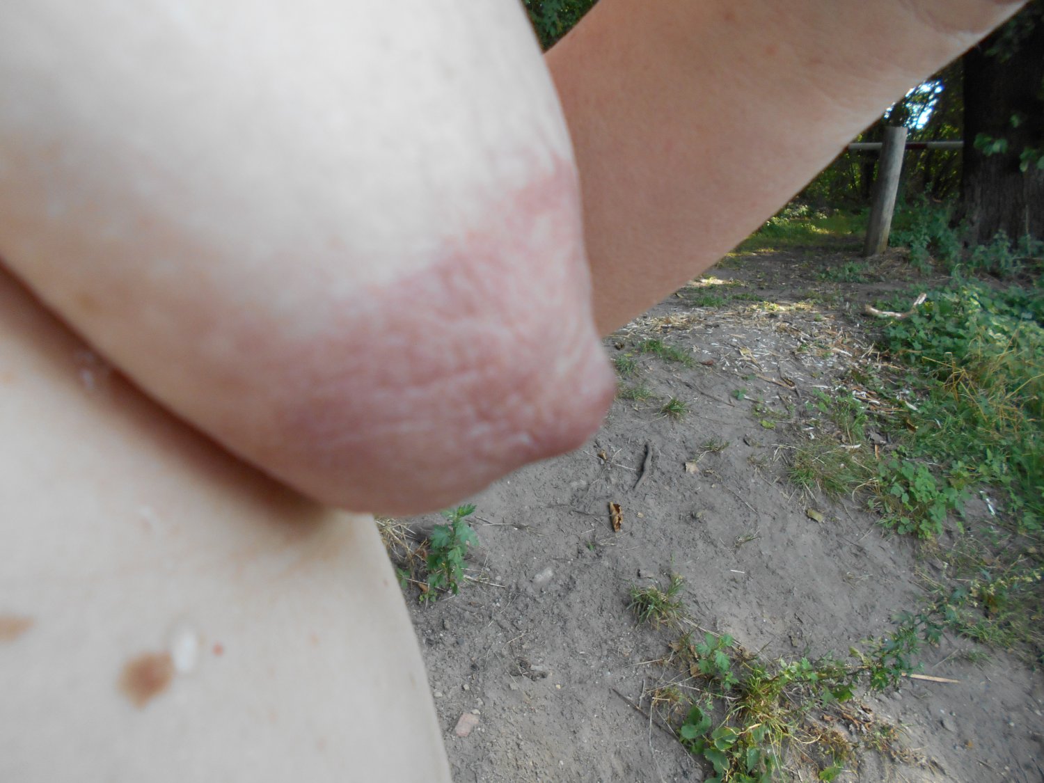 Here are some new tits of mine. #1Y5Egh0X